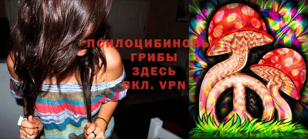 мдпв Балахна