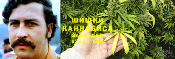 PSILOCYBIN Баксан