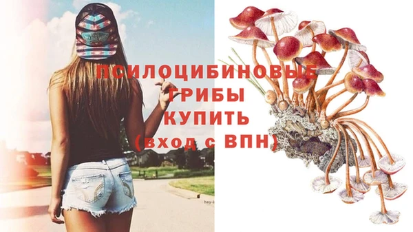 PSILOCYBIN Баксан