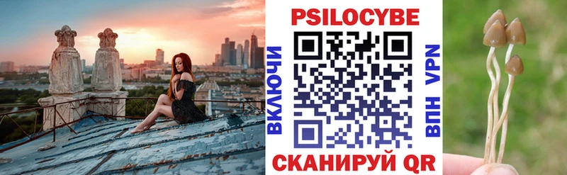 Галлюциногенные грибы Psilocybine cubensis  продажа наркотиков  Ногинск 